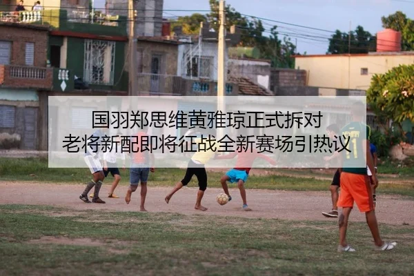 国羽郑思维黄雅琼正式拆对 老将新配即将征战全新赛场引热议